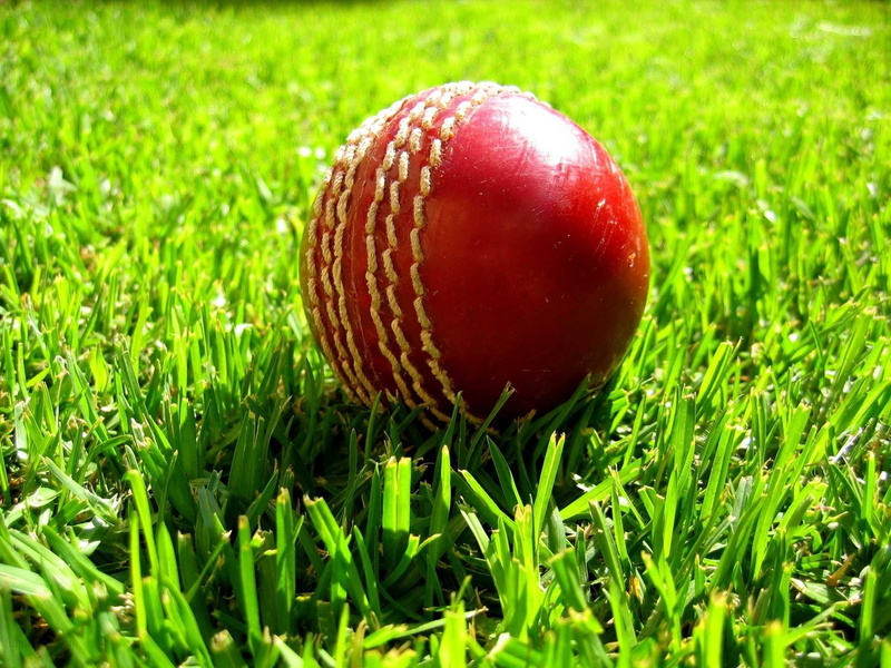 Cricket, 1080P