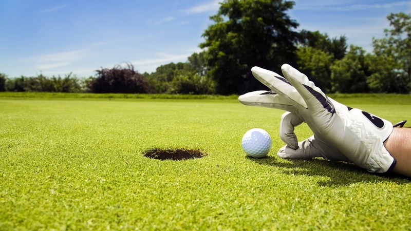 silhouette, golf course, tree, leisure activity, plant, leisure, golf, one person, people, rough, green color, activity, golfing, summer, playing, landscape