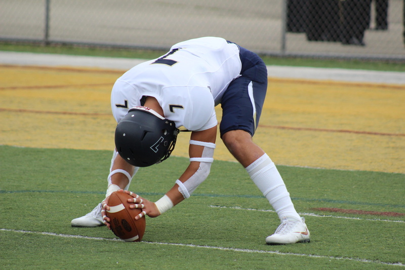 holding, sports uniform, action, outfit, real people, player, clothing, field, play, ball, day, American football, competition, american football player