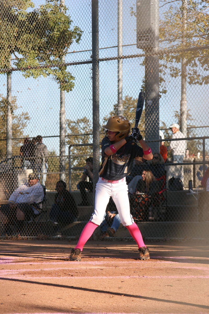 fence, outdoors, field, baseball - sport, swinging, playing, helmet, gray, bat, 4K, player, baseball bat, adolescence, people, women, action, childhood