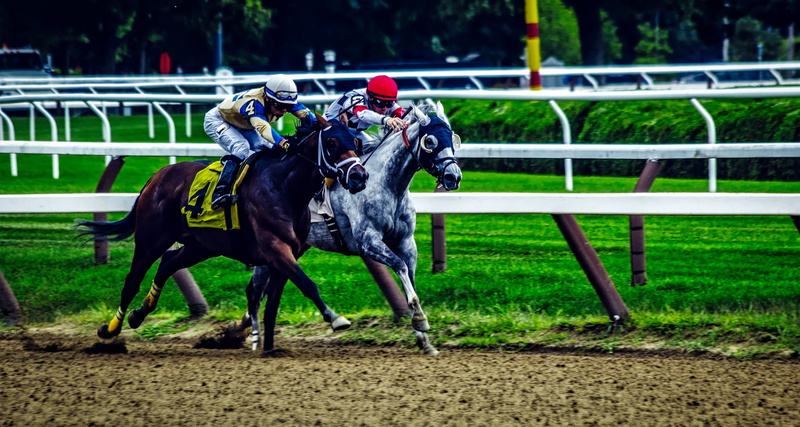 horses, horseback riding, racehorse, livestock, animal Sport, horse Racing, close, people, mammal, track, dirt, sports, person, equestrian Event, finish