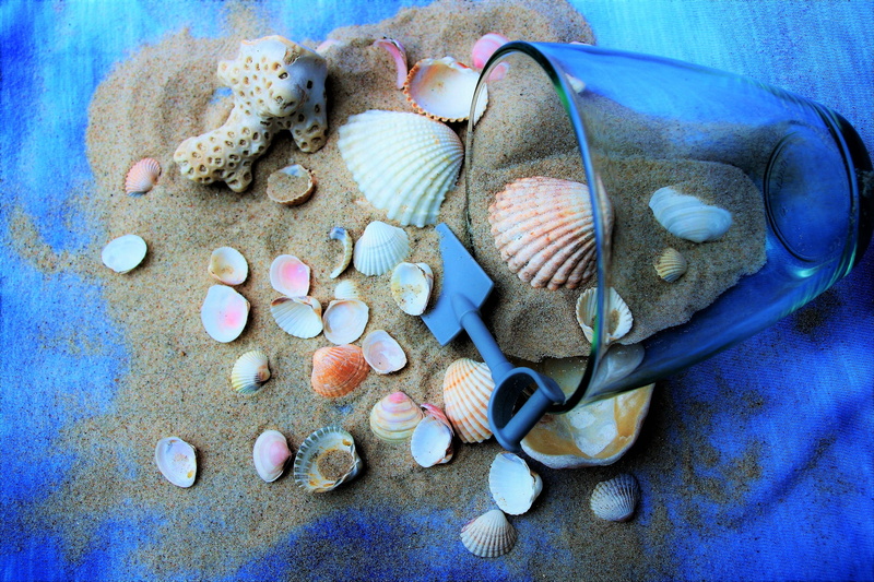 ornament, desktop, closeup, nature, holidays, seashells, decoration, scallop, shells, food, shell, sand, figure, entertainment, the tropical, scenery, a lot