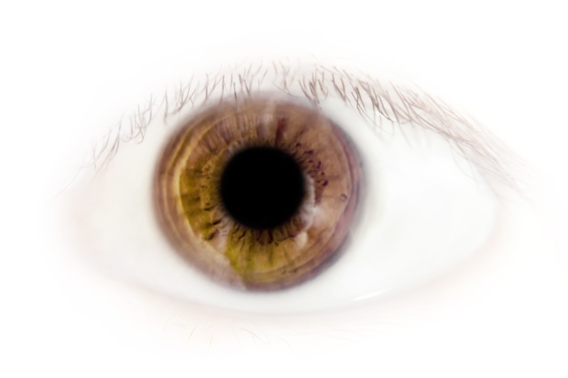 adult, people, pupil, makeup, closeup, optimistic, human body part, reflection, vision, human, macro, sensory perception, eyelashes, portrait, optical