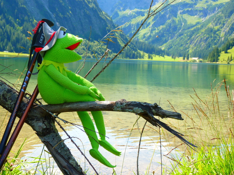 4K, water, animals in the wild, hike, animal, landscape, scenics, outdoors, scenics - nature, lake, summer, non-urban scene, tranquil scene, day, no people