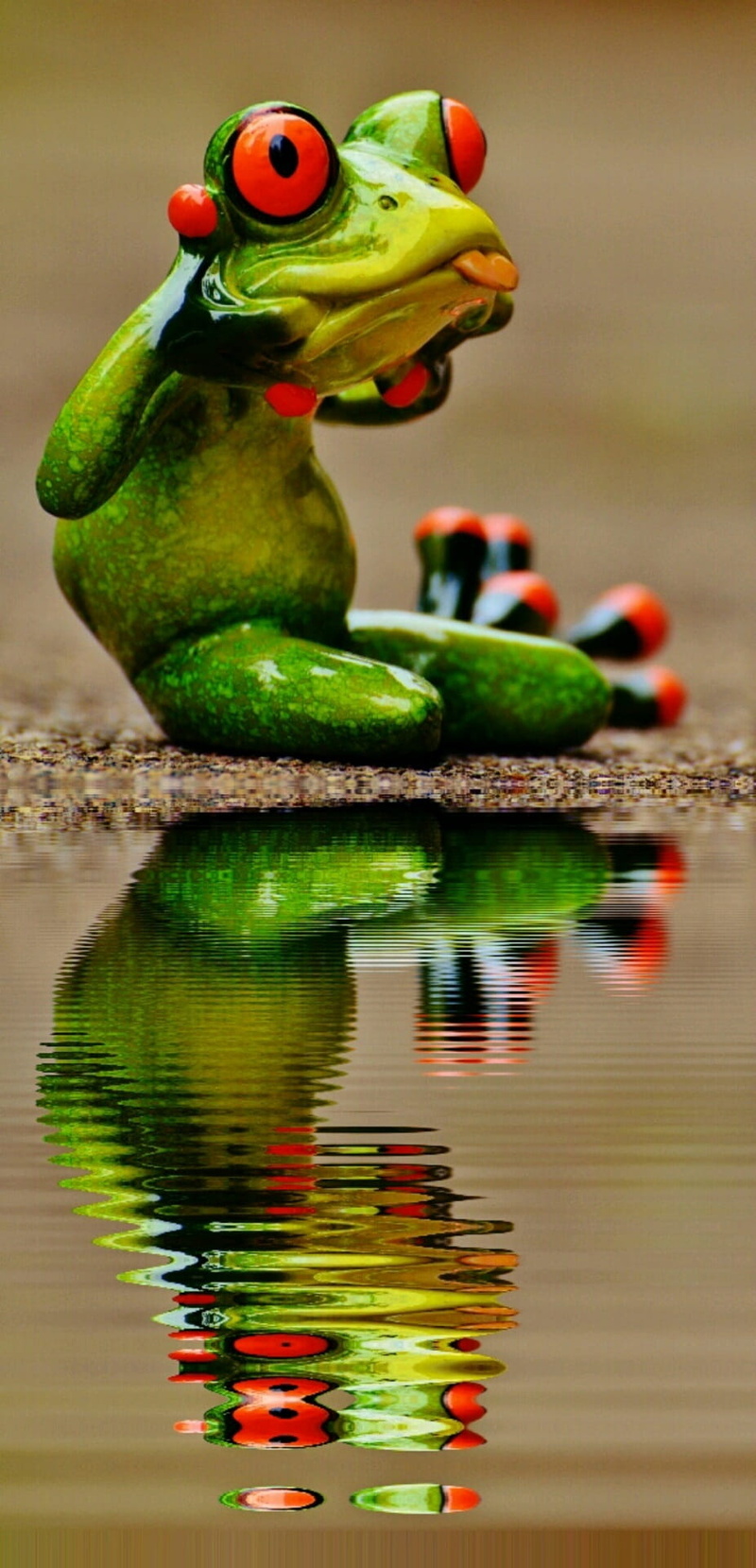 animal wildlife, bird, animals in the wild, cute, animal, toy, 1080P, close-up, one animal, decoration, representation, sweet, cheeky, focus on foreground