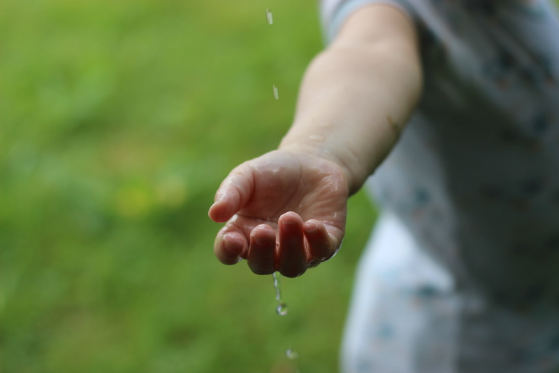 rain, body part, element, water, 5K, close-up, drip, play, human Hand, hand, focus on foreground, green color, childhood, droplets, human body part, resource