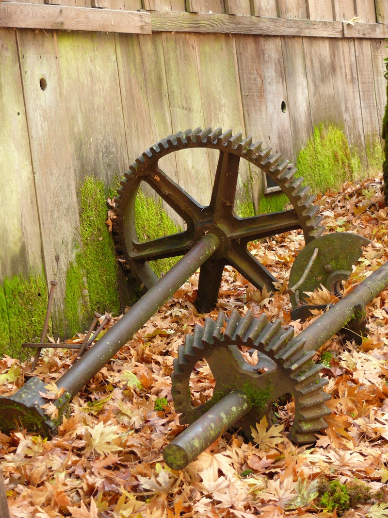 land, plant part, old, no people, deterioration, wheel, abandoned, architecture, metal, wood - material, iron, 2K, grist mill, cogs, wagon wheel, iron - metal