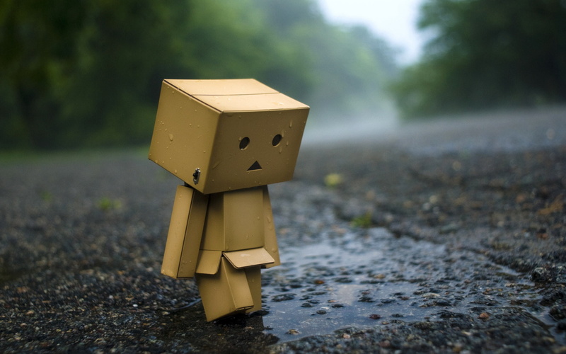 1080P, mood, box, rain, man, puddle, danboard, danbo, asphalt