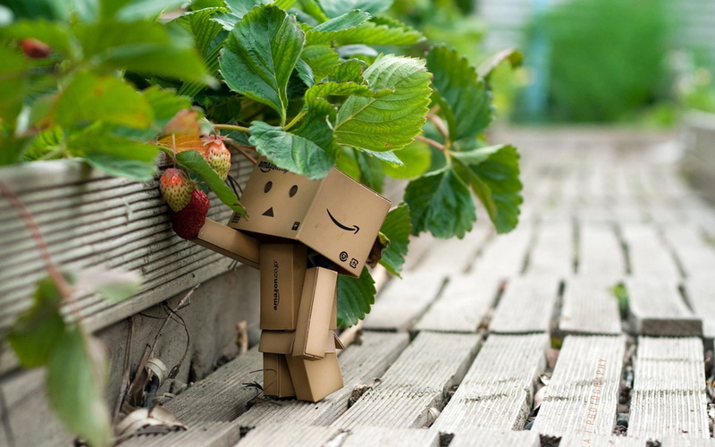1080P, freshness, leaf, food, strawberries, art and craft, cardboard robot, berries, plant, growth, walk, gardening, close-up, nature, food and drink