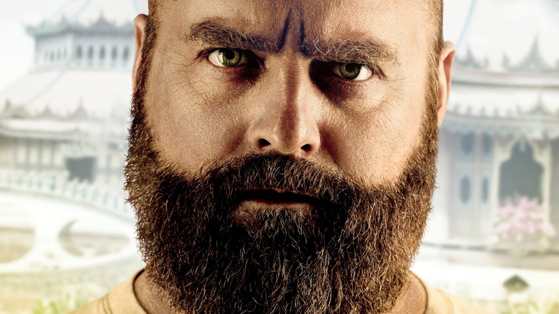 close-up, portrait, architecture, adult, mustache, one person, mid adult men, body part, beard, looking at camera, men, human body part, human face, males