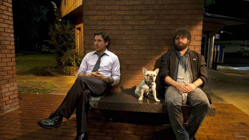 due, due date, Zach Galifianakis, robert downey, 2K, actors, date