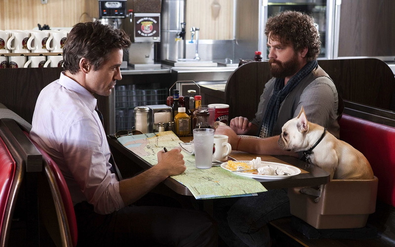 movie, date, Zach Galifianakis, due, 1080P, Robert Downey