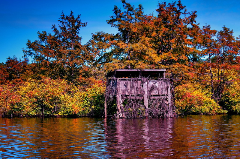 union, nature, Phill, Autumn  fall, ducks, beside, Lake, parish, body, landscape photography, Gulf, geotagged, gold, leaf, brown, fishing, outdoors, river