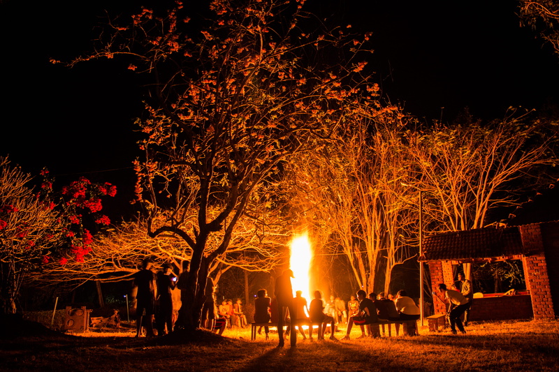 tree, team, celebration, india, heat - temperature, kids, boys, fire, burning, motion, outdoors, nilgiris, forest, 5K, campfire, mudumalai, men, trees