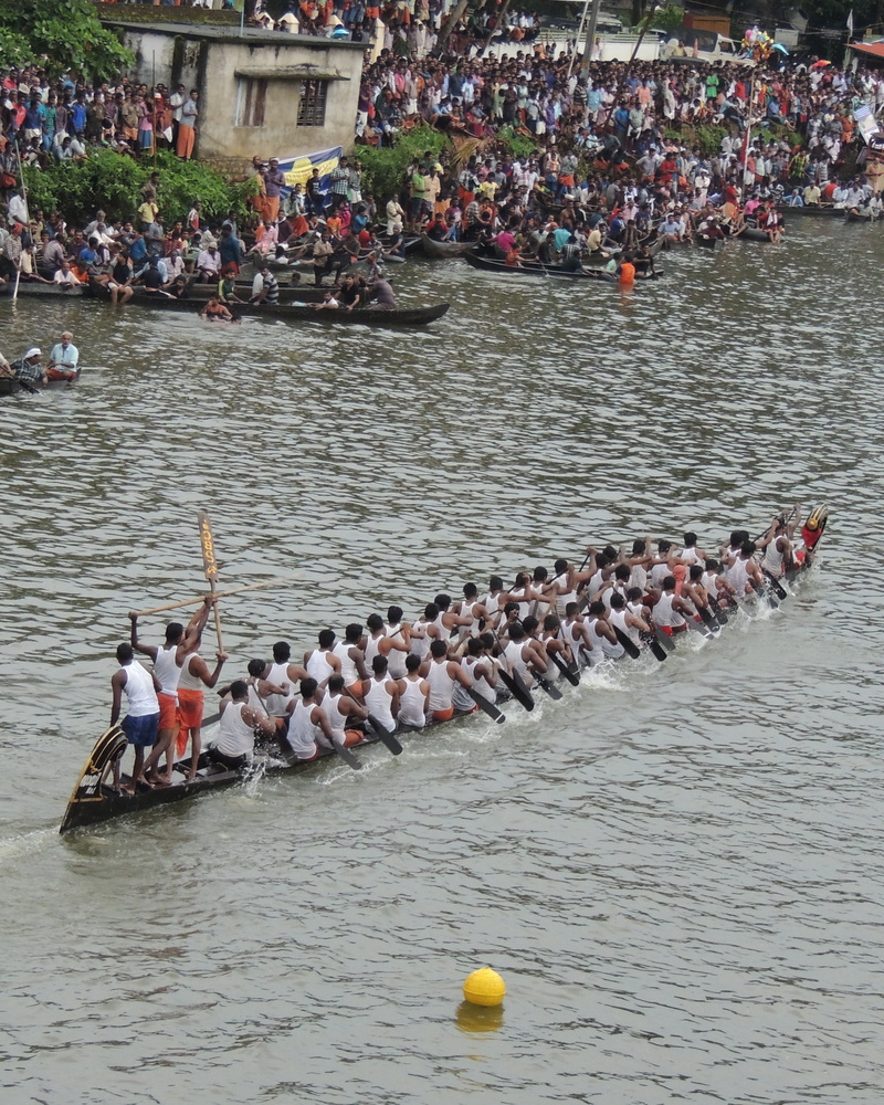 speed, lifestyles, group of people, architecture, women, transportation, kerala, race, high angle view, 2K, competition, boating, team, day, india, crowd