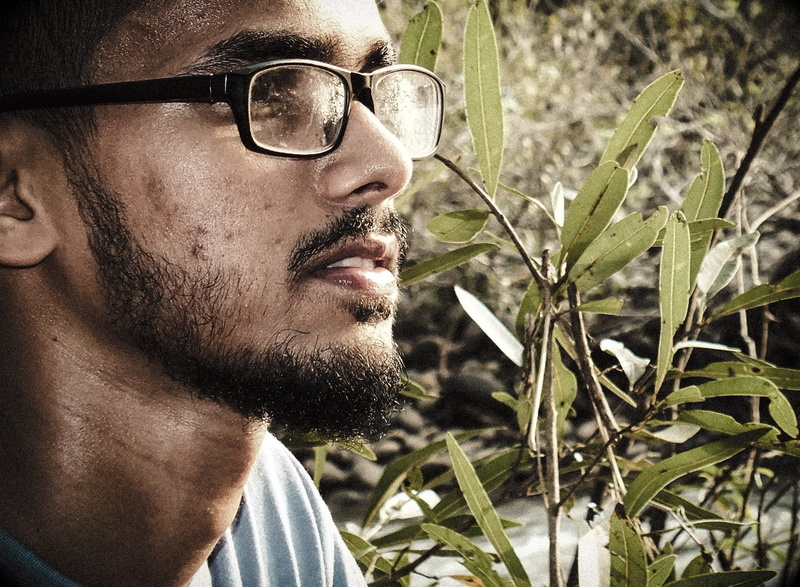 eyes, human face, eyeglasses, mustache, male, casual, plants, beard, fashion, plant, real people, framed, young adult, nature, leaves, outdoors, sunglasses