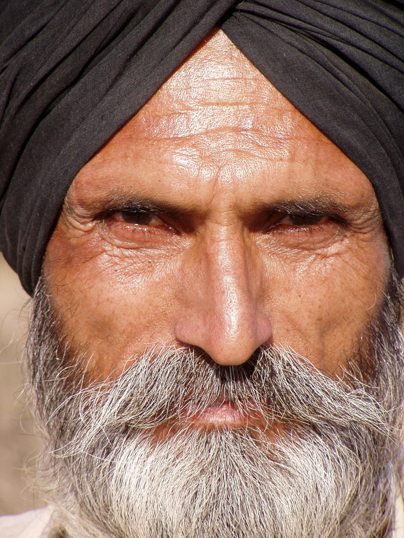 males, beard, Bart, senior Adult, senior Men, real people, close-up, wearing, color Image, turban, mature men, indians, mature Adult, pagri, cultures, looking At Camera