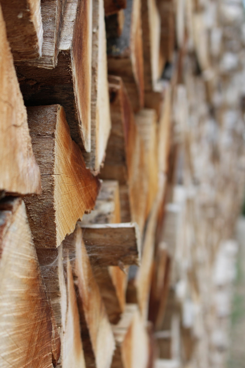 day, full frame, close up, lumber, still life, backgrounds, brown, forest, close-up, pile, timber, lumber industry, no people, abundance, selective focus