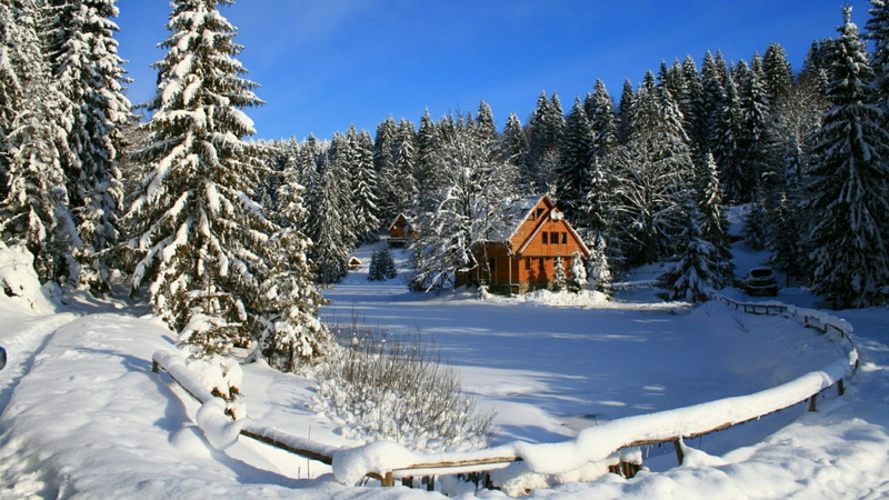 land, freezing, warm clothing, lake vita, snowcapped mountain, tree, coniferous tree, fir, winter, cold temperature, village, forest, ukraine, holiday