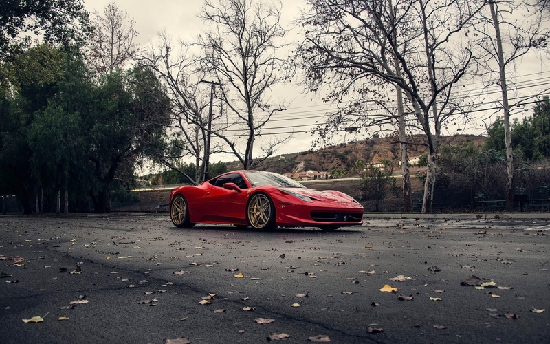 plant, street, mode of transportation, land vehicle, motor vehicle, outdoors, no people, Ferrari 458 Italia, plant part, autumn, tree, transportation, Klässen iD