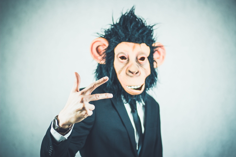 young adult, kaufmann, outfit, dynamic, team leader, front view, management, mask, consultant, hair, colored background, career, human body part, hand sign