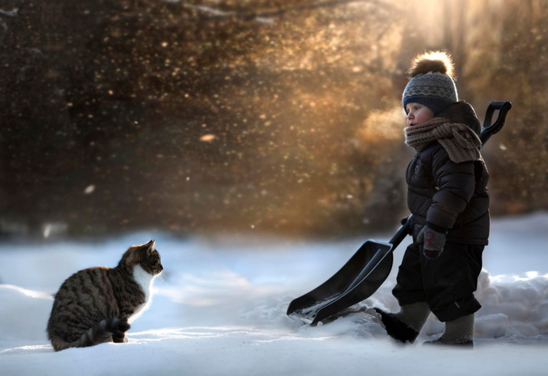 depth of field, cat, shovels, snow, winter, 720P, children