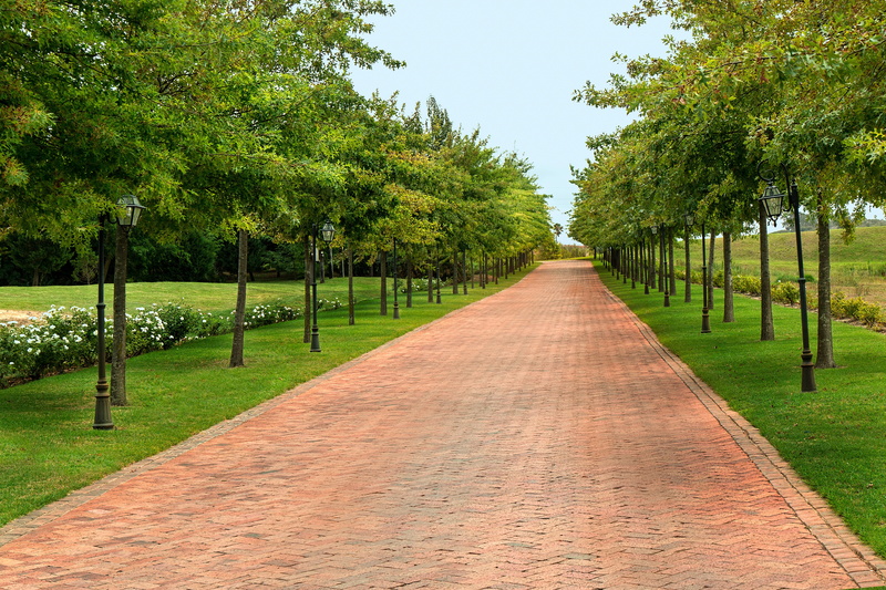 western cape, footpath, driveway, beauty in nature, the way forward, road, pathway, way, journey, franschhoek, lane, travel, countryside, future, route