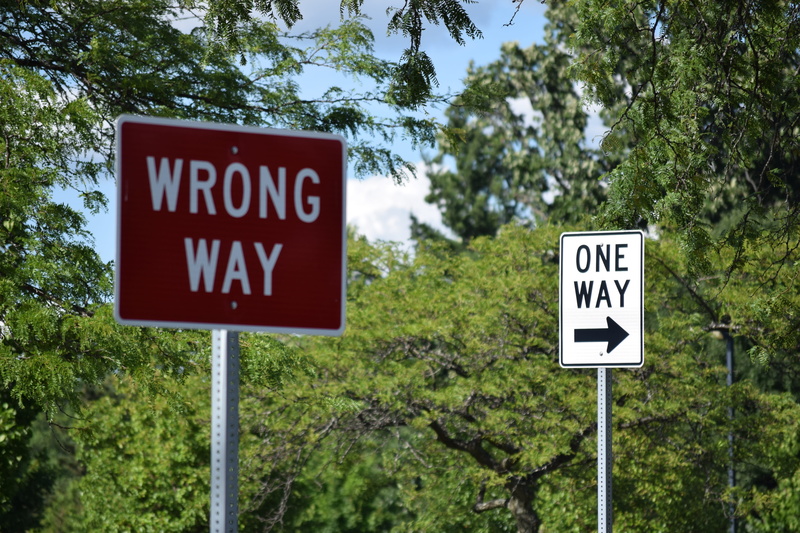information sign, western script, one, tree, roadsign, sign, road, Road Signs, 5K, guidance, text, street sign, warning sign, caution, message, signages