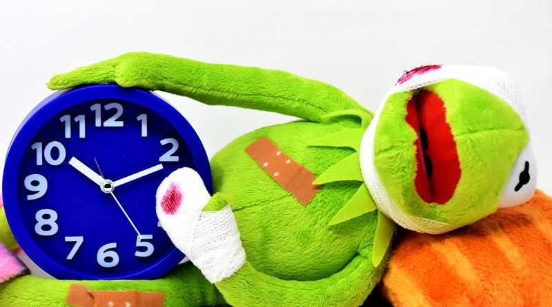 funny, celebration, leaf, encourage, white background, time heals all wounds, live, suffering, wundpflaster, alarm clock, soft toy, holiday, plant part
