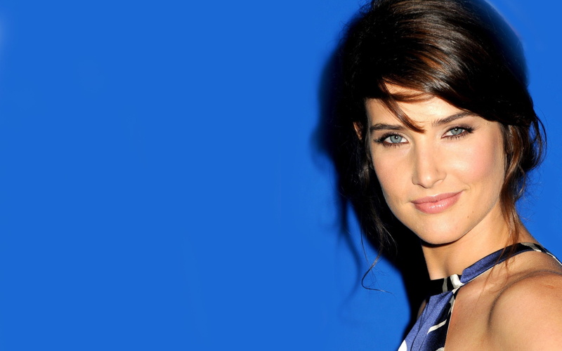 2K, smulders, avengers, blue, shield, cobie