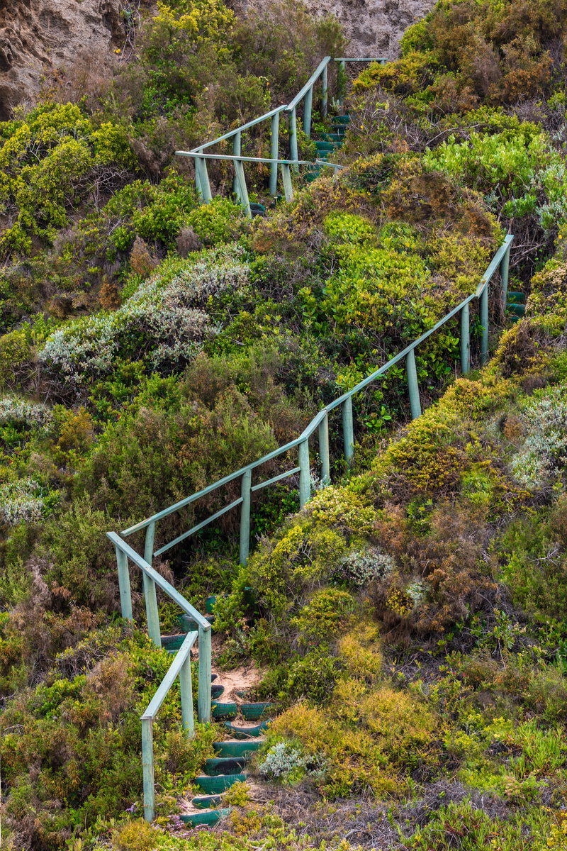 outdoors, bridge - man made structure, rise, tree, success, exercise, transportation, land, steps, scenics - nature, railing, future, steep, difficult