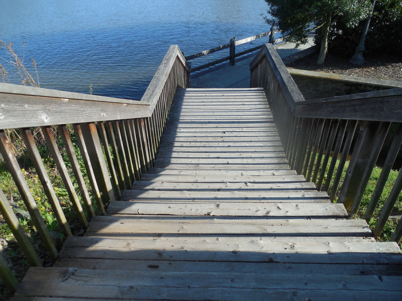 tranquility, climb, spindles, land, treads, built structure, wood paneling, way, tree, ascending, sea, nature, no people, rise, climbing, the way forward
