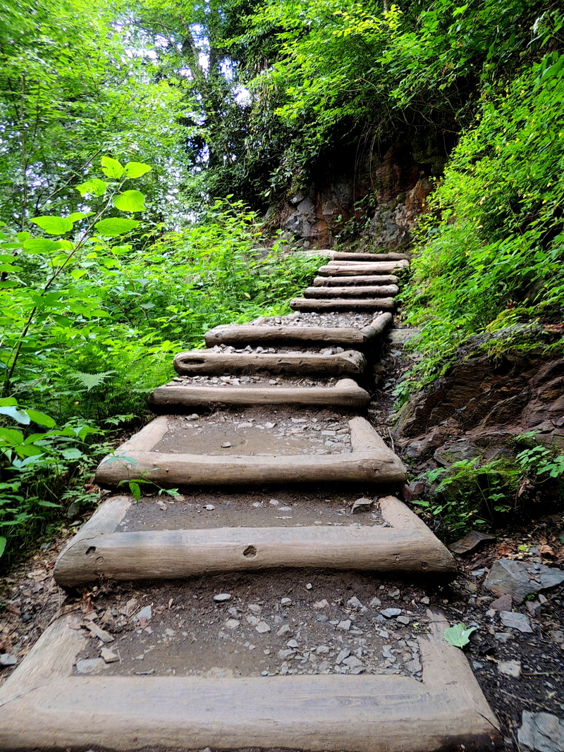 faith, Path, progress, climb, plant, Stairway, 4K, Staircase, ladder, solid, beauty in nature, footpath, tranquility, green Color, forest, water, wood - Material