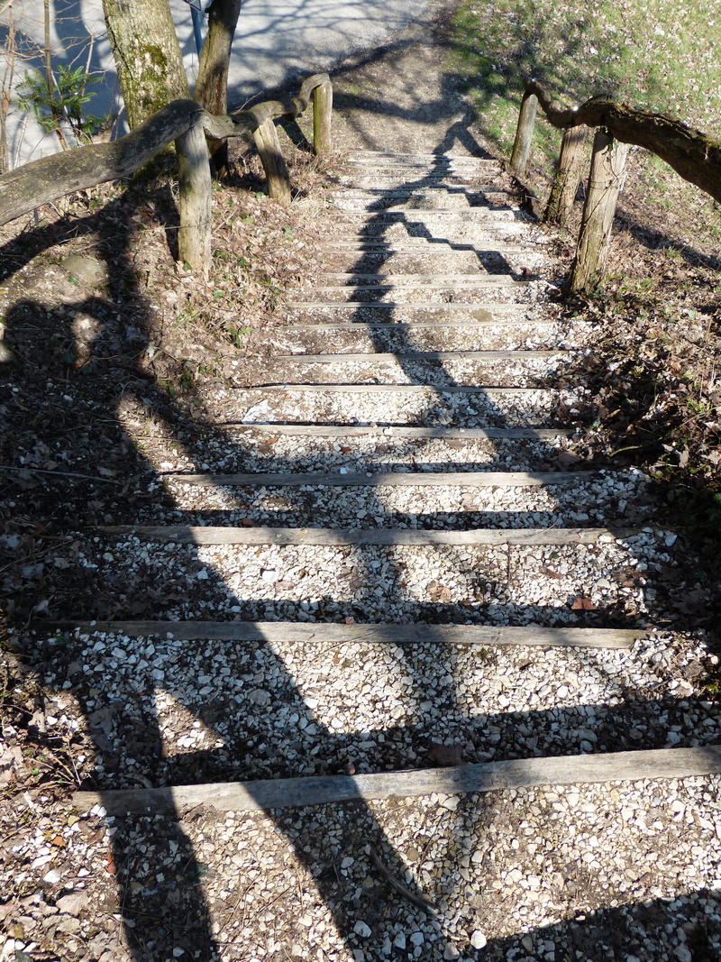 descend, no people, focus on shadow, 4K, footpath, staircase, day, shadow, up, garden path, Forest, Wood, growth, gradually, climb up, out, Nature, railing