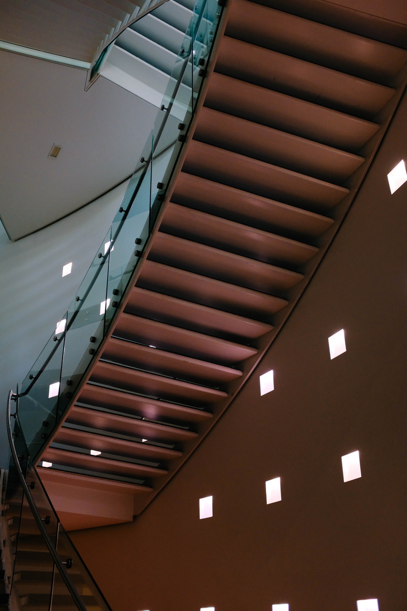 architectural feature, 5K, ceiling, handrail, potted plant, plant, recessed light, steps and staircases, vase, light fixture, lighting equipment, wooden
