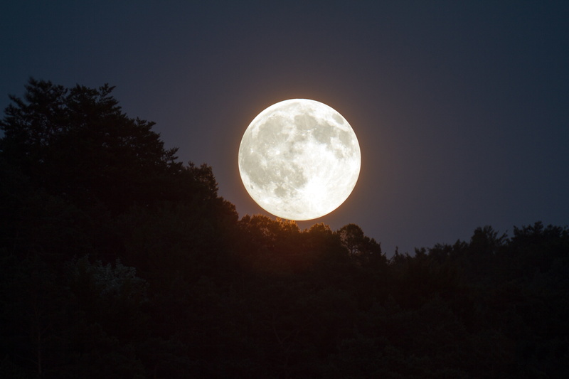 geometric shape, moonlight, land, star - Space, no people, tranquility, sky, silhouette, super moon, tree, night sky, beauty in nature, night, mood, dusk