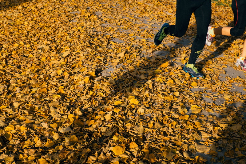 lush, outdoors, street, drop, sunlight, season, sporty, descriptive, foliage, young, activity, fit, beautiful, sun, leaf, water, red, together, nobody