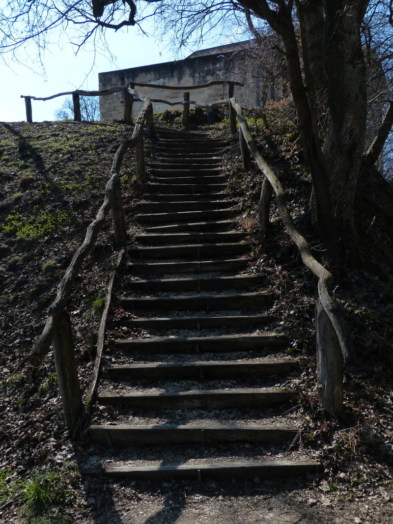 tree, descend, day, stair step, staircase, up, direction, empty, architecture, low angle view, no people, gradually, out, land, 4K, diminishing perspective