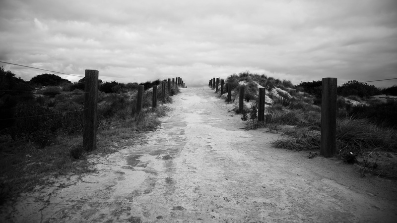 land, healthy, landscape, park, exercise, workout, person, active, recreation, environment, the way forward, lifestyle, architecture, walk, outdoors, plant