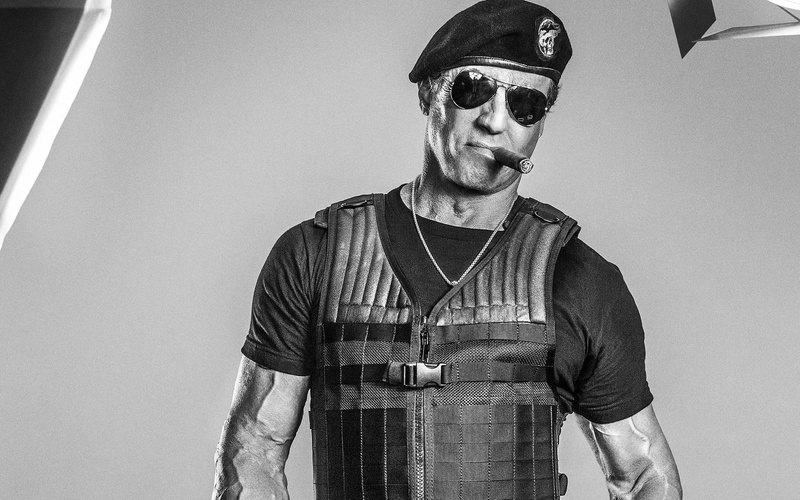 fashion, wall - building feature, standing, waist up, sunglasses, The Expendables 3, sylvester, mid adult men, stallone, lifestyles, glasses, indoors, casual clothing