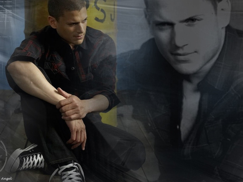 wentworth, hd, miller, 480P, Wentworth Miller, art, people, actors, prison break, Hot