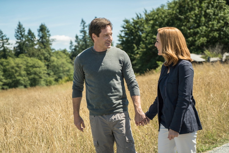 1080P, Dana Scully, The X-Files, Fox Mulder, Gillian Anderson, David Duchovny