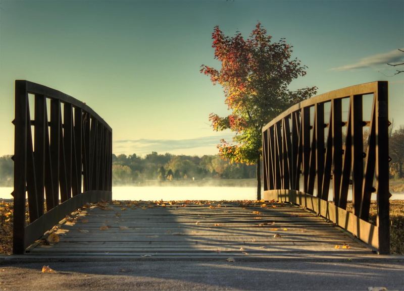 plant, 1080P, railing, bridge, clear sky, pleasant hill, photo, day, nature, tree, sunlight, footpath, black, metal, gate, transportation, outdoors, sky