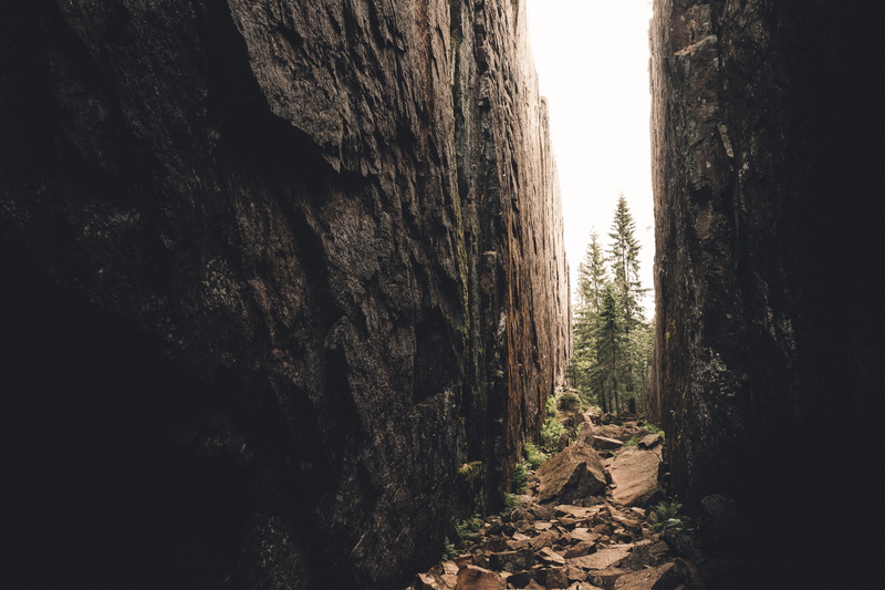 plant, scandinavia, valley, trees, cliff, built structure, nature, woods, nordic, outdoors, högakusten, rock - object, sweden, no people, 5K, rock formation