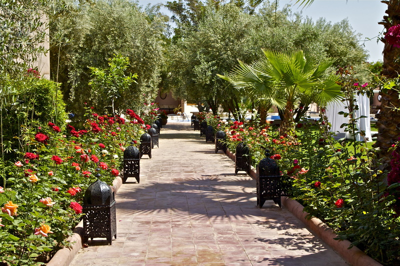 plants, day, marrakech, arabia, the way forward, tree, outdoor lighting, diminishing perspective, light, concrete, garden lamp, north africa, architecture
