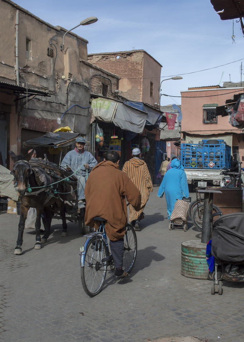 bazar, spicy, day, stall, real people, sell, herb, people, multicolored, Medina, price, cart, store, domestic animals, paprika, mode of transportation