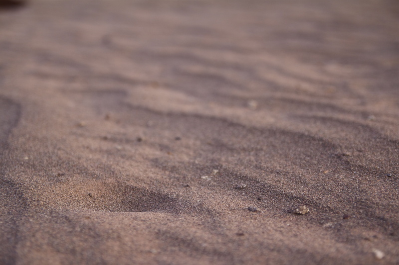 sand dune, romantic, empty, sand, dry, no people, summer, clean, rough, north africa, abstract backgrounds, hot, wood - material, loneliness, evening light