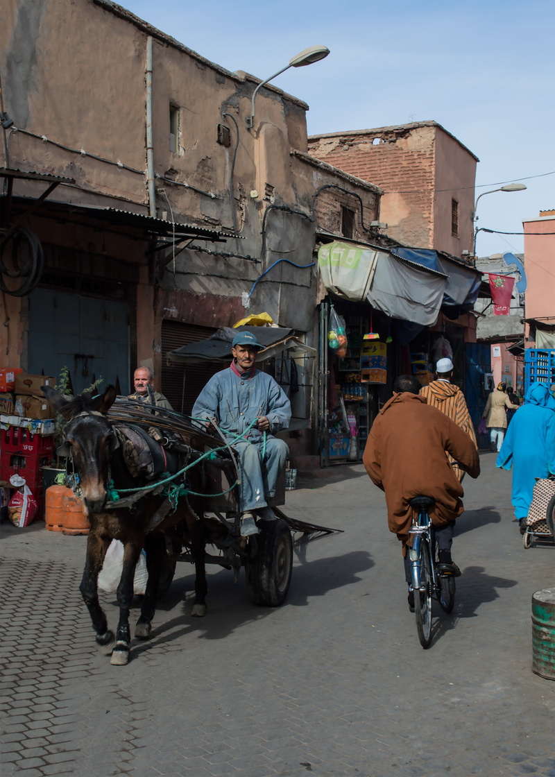 markets, fragrance, places, cart, spices, sell, medina, moroccan, ingredient, business, spicy, livestock, food, paprika, curry, herb, store, architecture