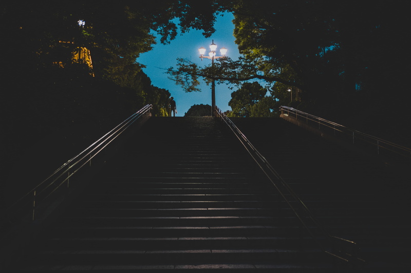 tokyo, the way forward, 5K, growth, dusk, outdoors, plant, no people, tree, illuminated, sky, japan, leadership, low angle view, nature, staircase, direction