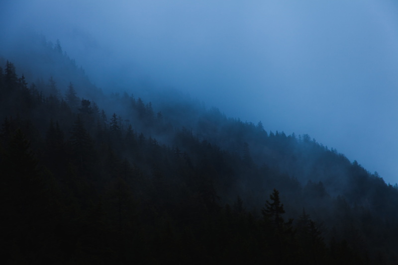 silhouette, switzerland, 5K, mystery, scenics - nature, pine tree, trees, plant, pine woodland, landscape, hill, pine, forest, non-urban scene, dawn, dark